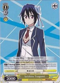 Seishiro Tsugumi
