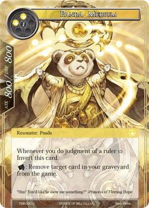 Panda Medium // Possessed Panda