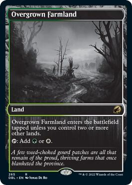 Overgrown Farmland