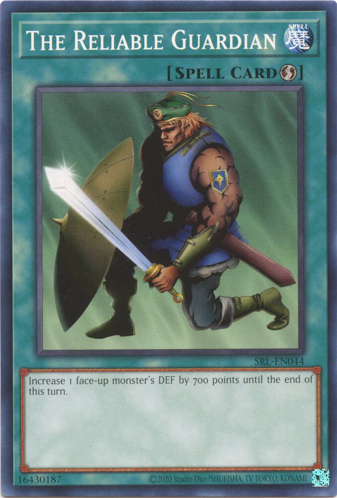 The Reliable Guardian