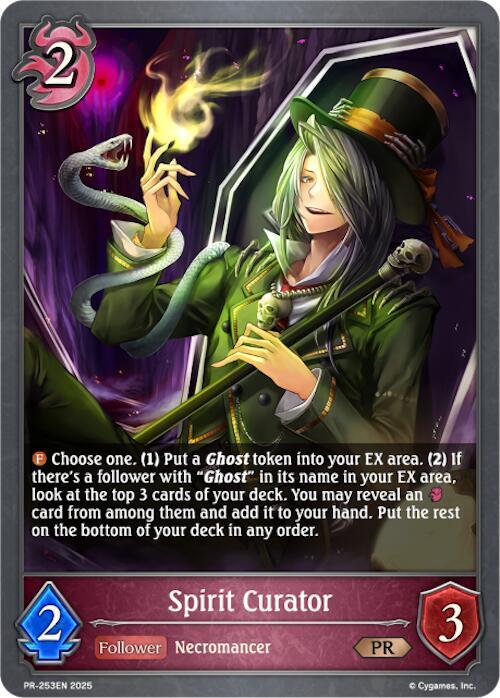 Spirit Curator