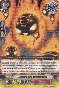 Flame Seed Salamander