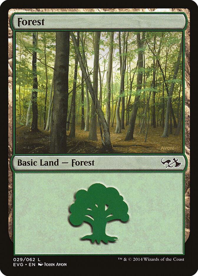 Forest (029) (EVG)