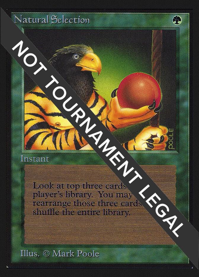 Natural Selection (CE)